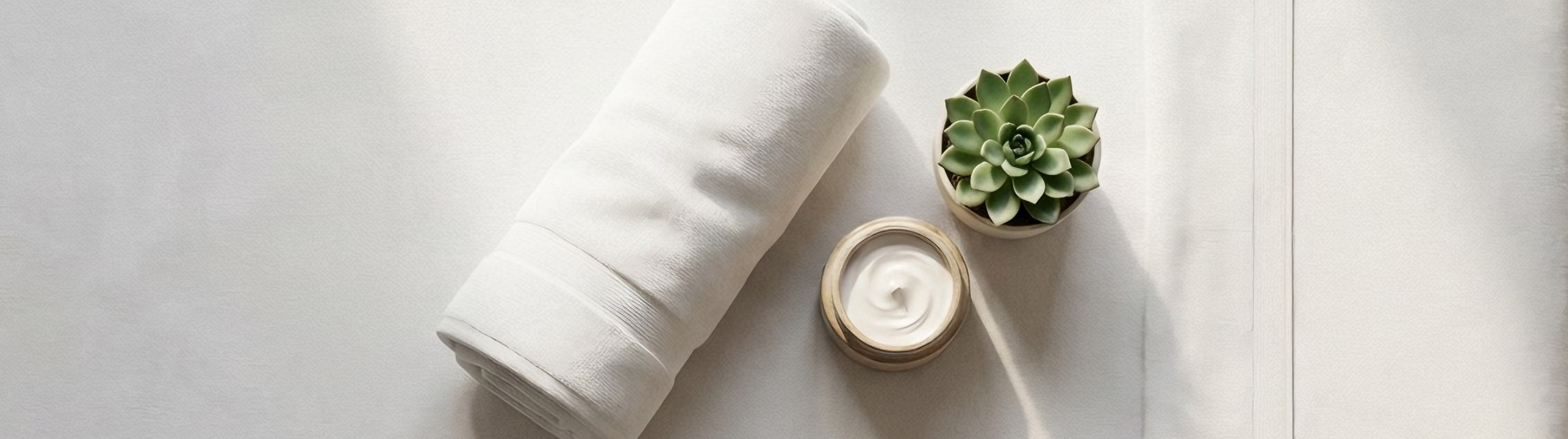 Toalla enrollada, suculenta en maceta y tarro de crema sobre superficie clara
