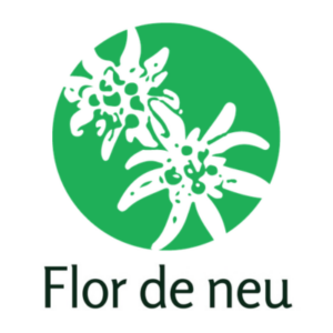 Logo Flor de Neu
